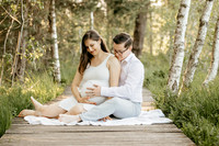 "Familienshooting während der Schwangerschaft in Laupheim.", "Babybauchshooting mit Geschwisterkind in Bad Wurzach.", "Emotionale Babybauchfotos mit Partner in Amtzell."