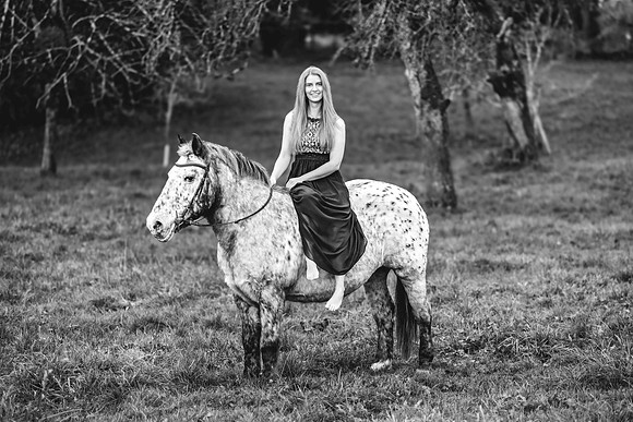 Tierfotograf Bregenz, Schwarz-Weiß Pferdefotos Bodensee, 4Real Photography.